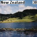 Water lilies on Lake Okaihau