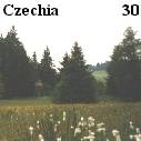 Meadows of Vysocina